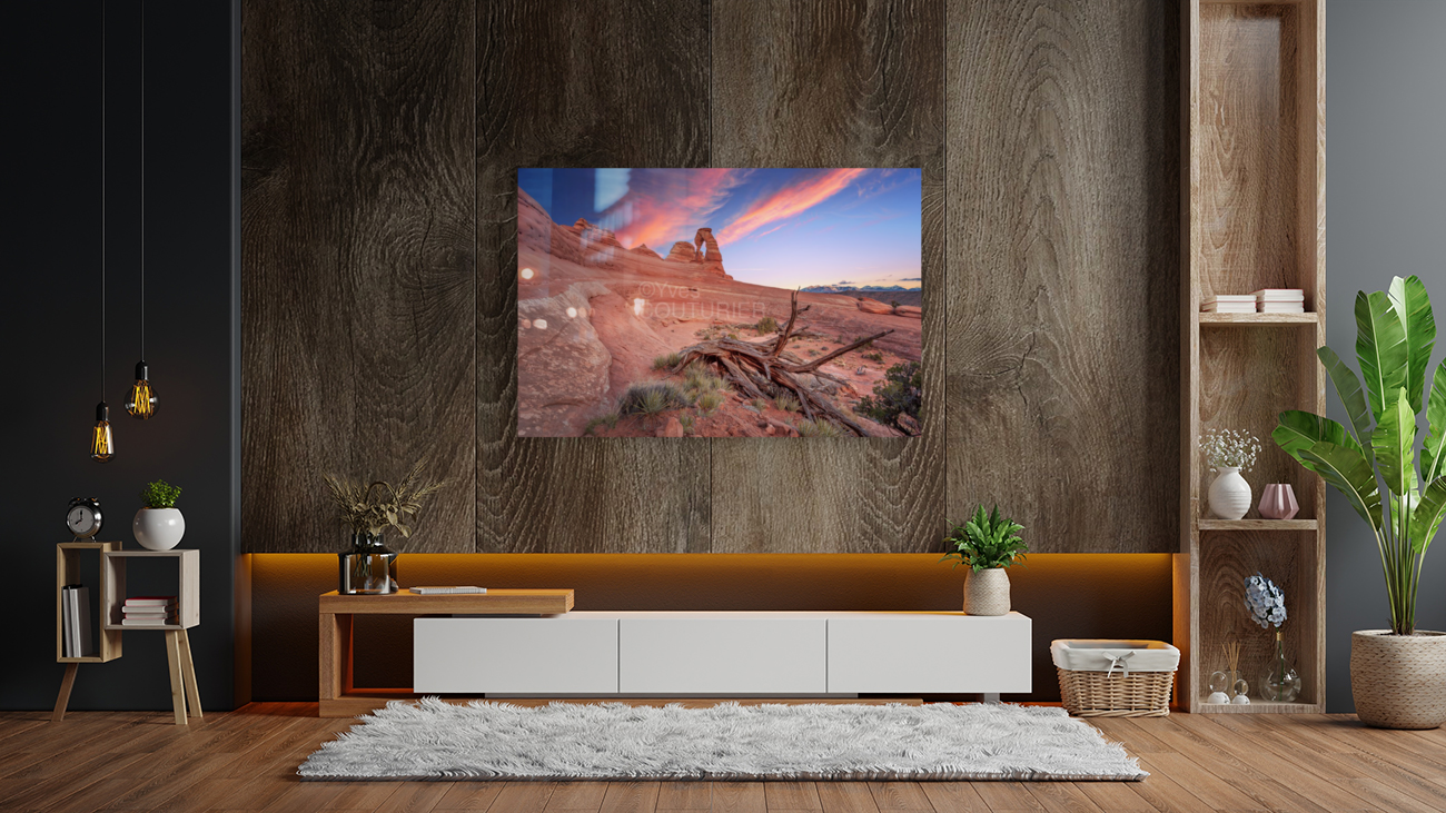 Delicate arch Art
