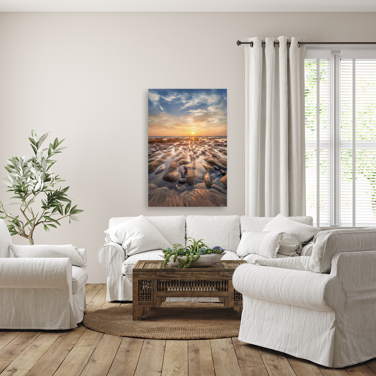 La Jolla reef Art