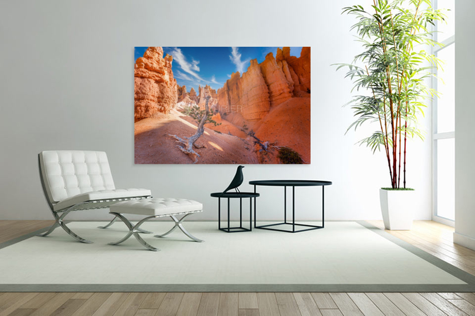 Lone tree at Bryce Art