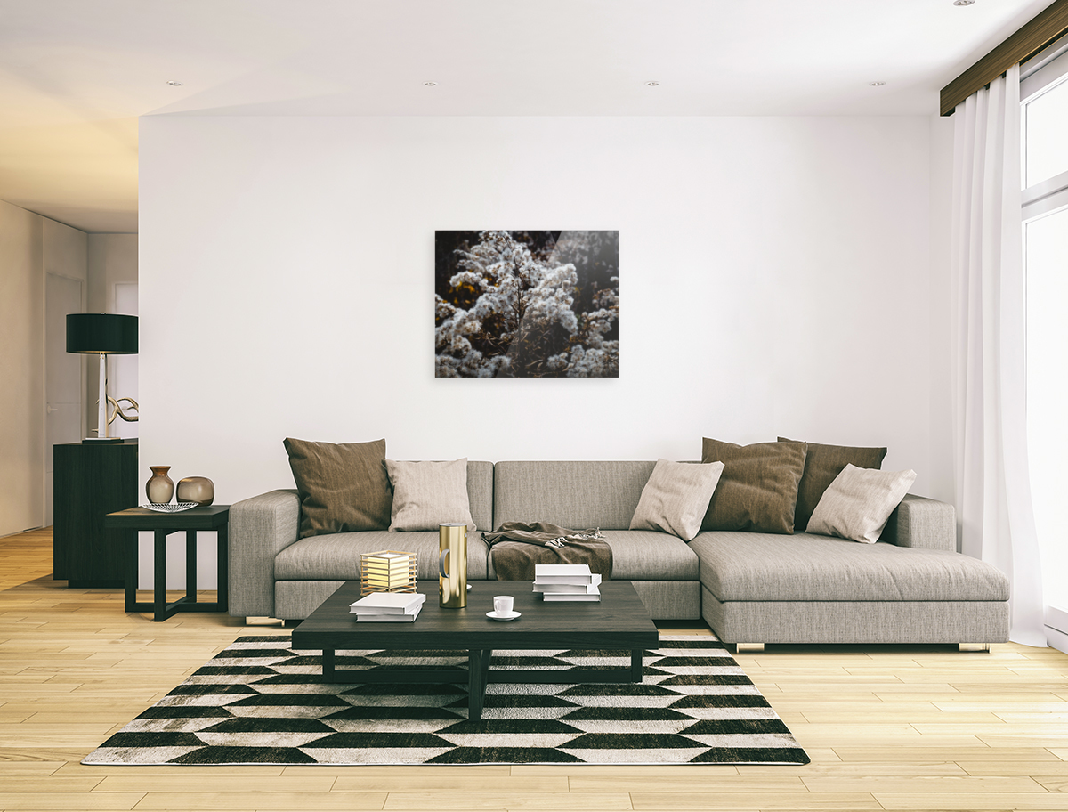 Wilde Flowers Art