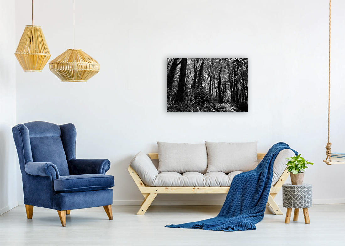 Forbidden Forest Art