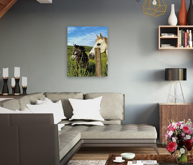 Beautiful horses Art