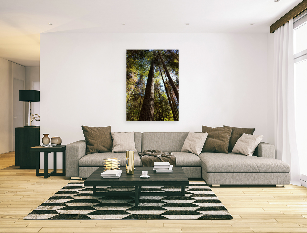 Eastern White Pine Art