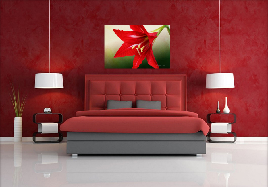Red Amaryllis Flower 3x2 Art