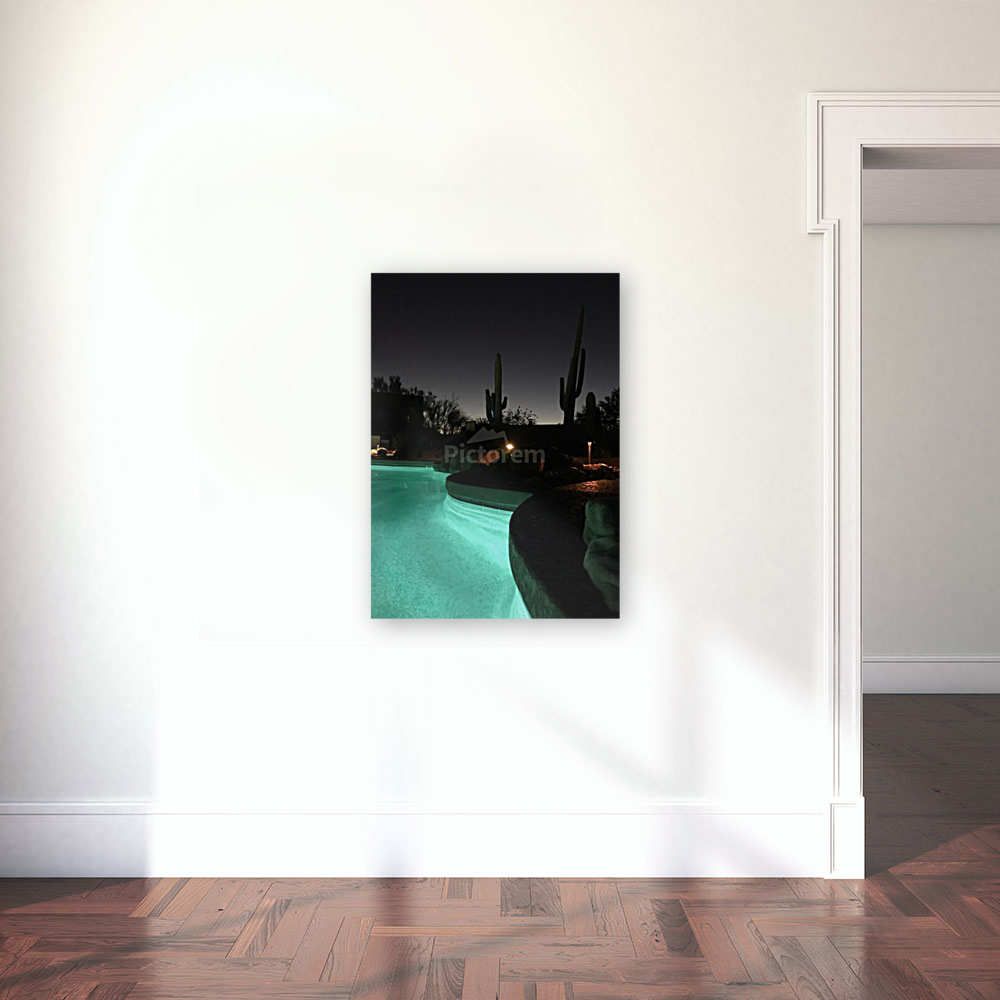 Pool Cacti Desert Night Art
