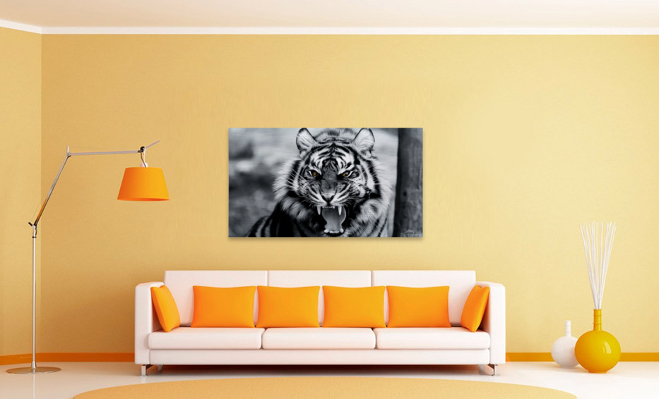 Fierce  Art