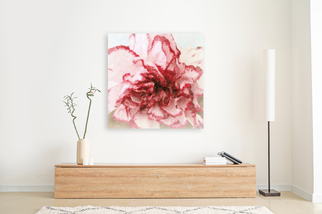 Carnation Soft Art