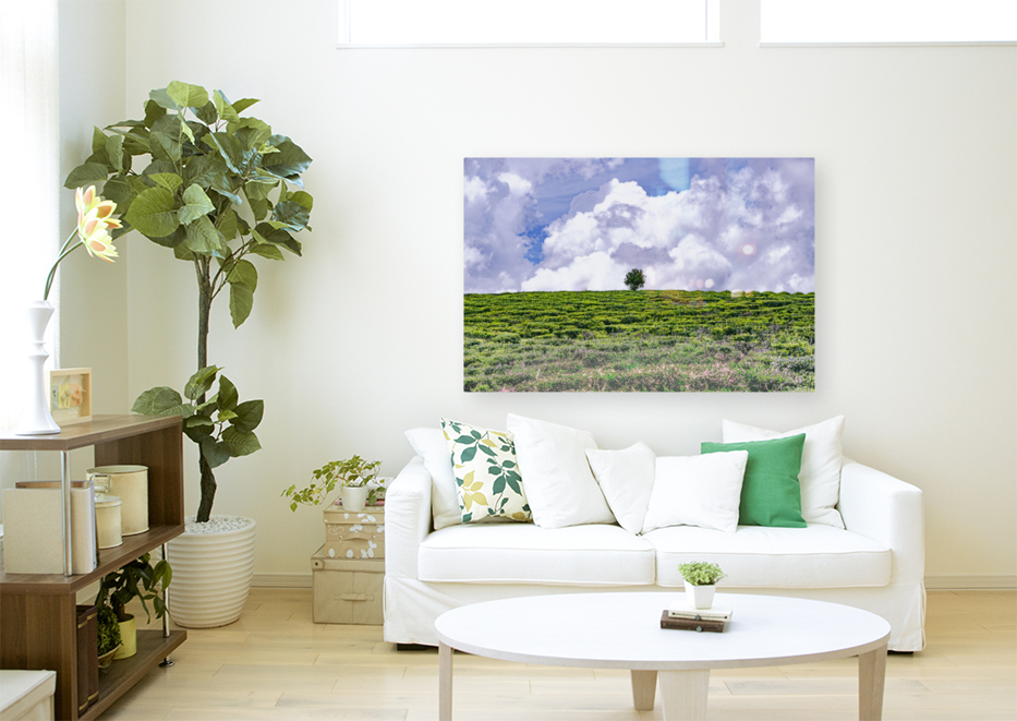 lonely tree Art