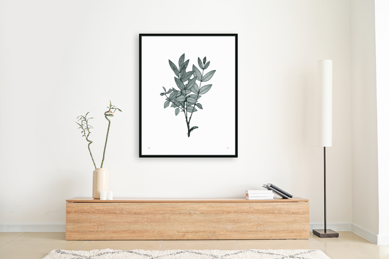 01 The Pressed Flowers Art