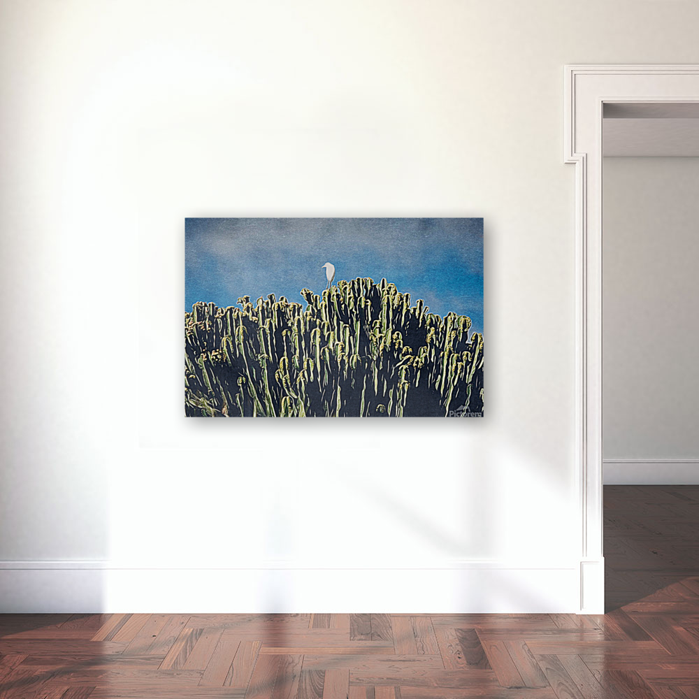 Desert Heron Art