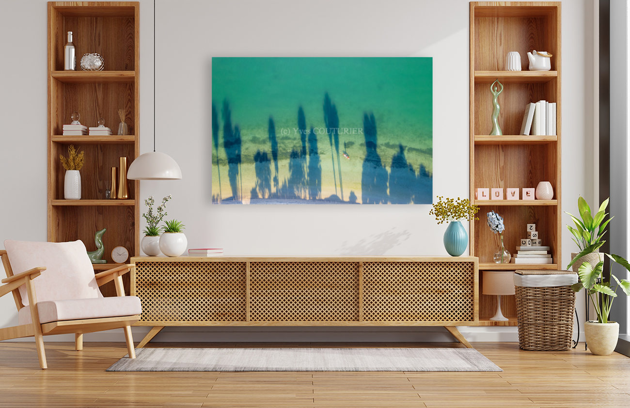 palm tree shadows Art