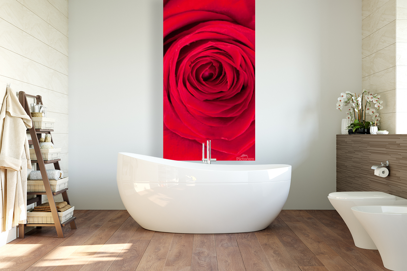 HybridRoses Art