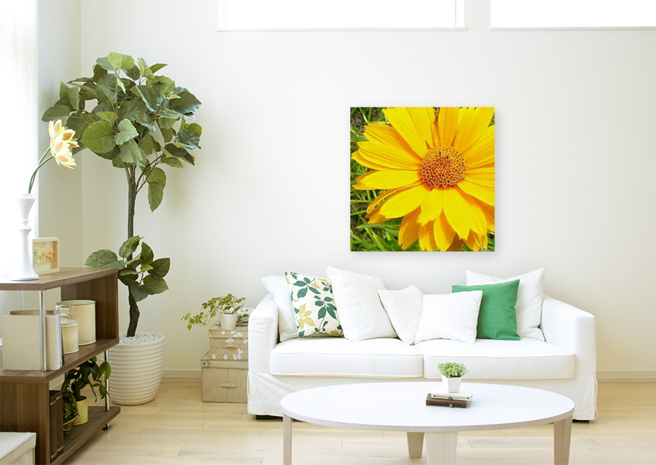 Embossed & Accented Daisy Art