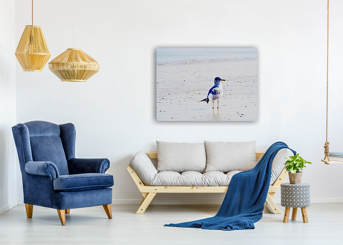 00073 Walking on Seashells Art