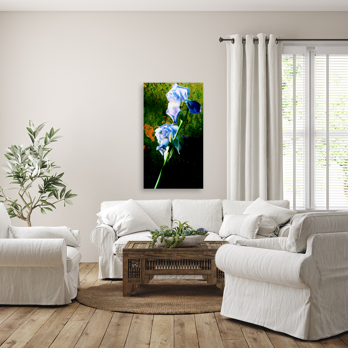 00122 Backyard Beauties Art