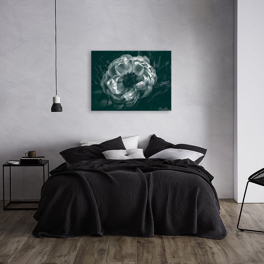 Peony Art