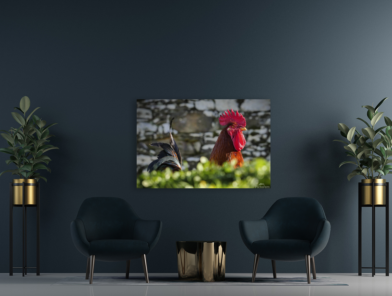 Coq  |  Rooster Art