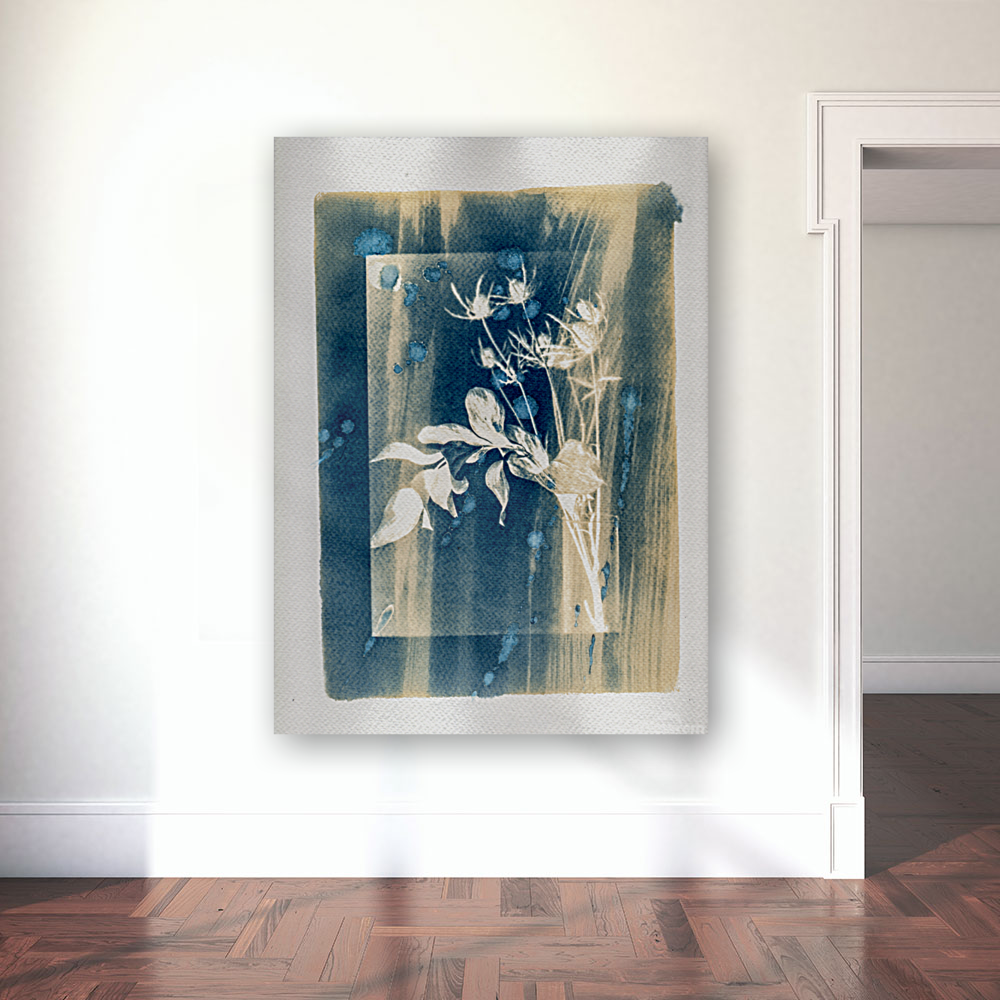Cyanotype 021 Art