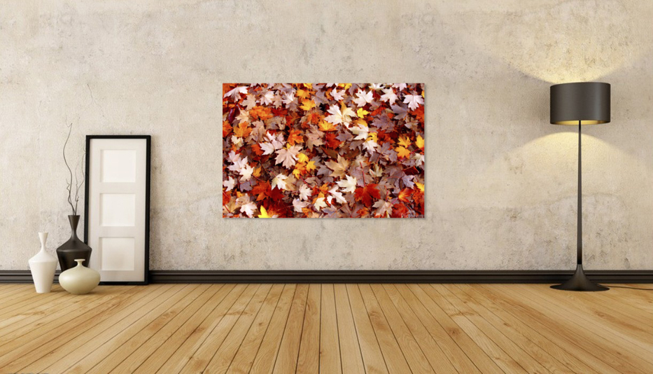 Feuilles derable  |  Maple Leaves Art