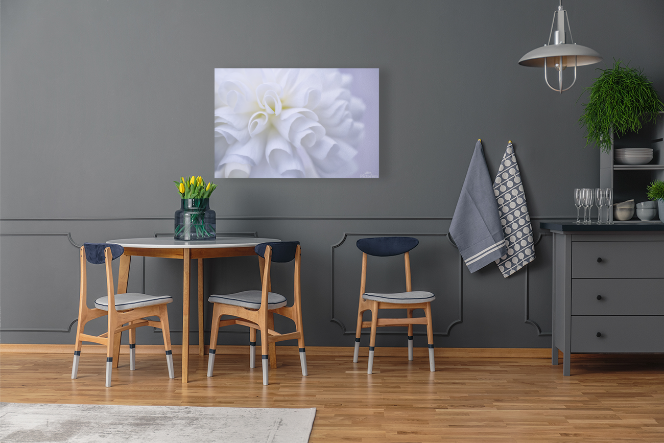 Doux geranium  |  Soft Geranium Art