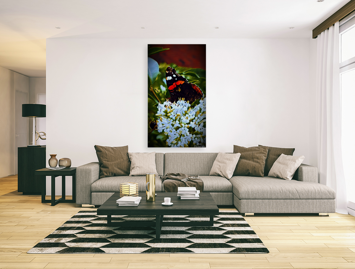 Red Admiral Nectar Art