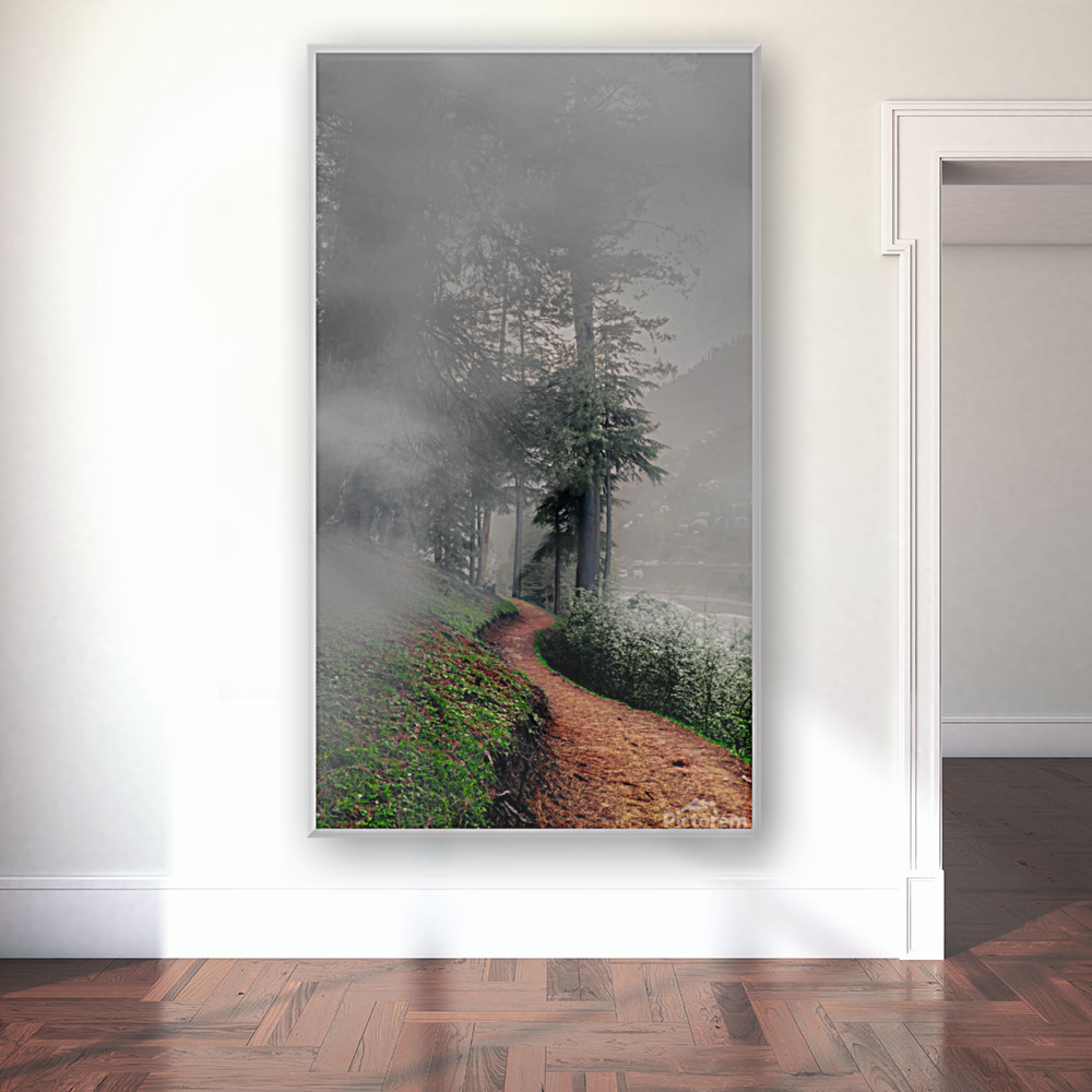 Mountain Path with Fog  Art