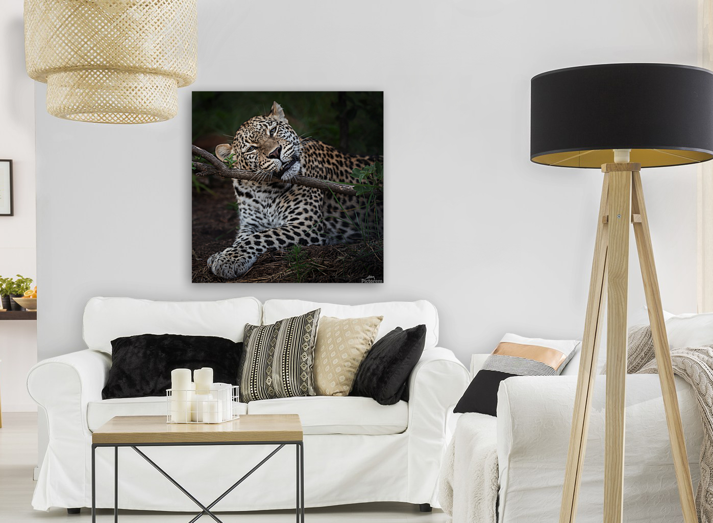Leopard chilling out Art