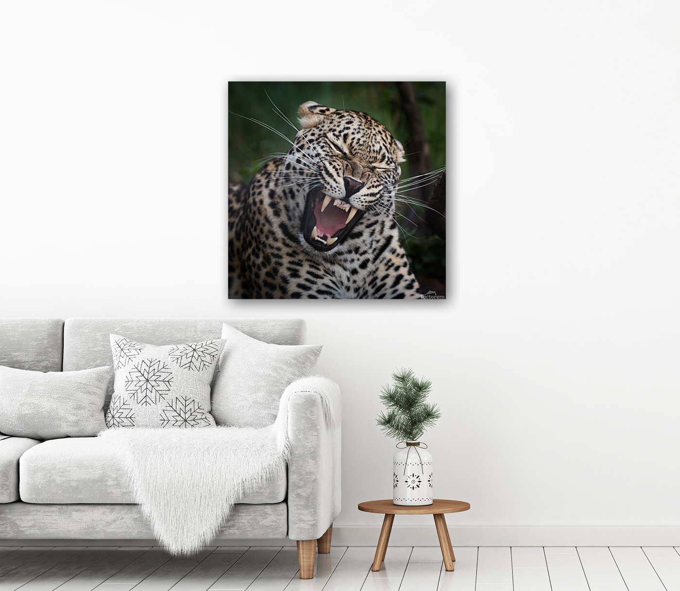 Leopard teeth Art