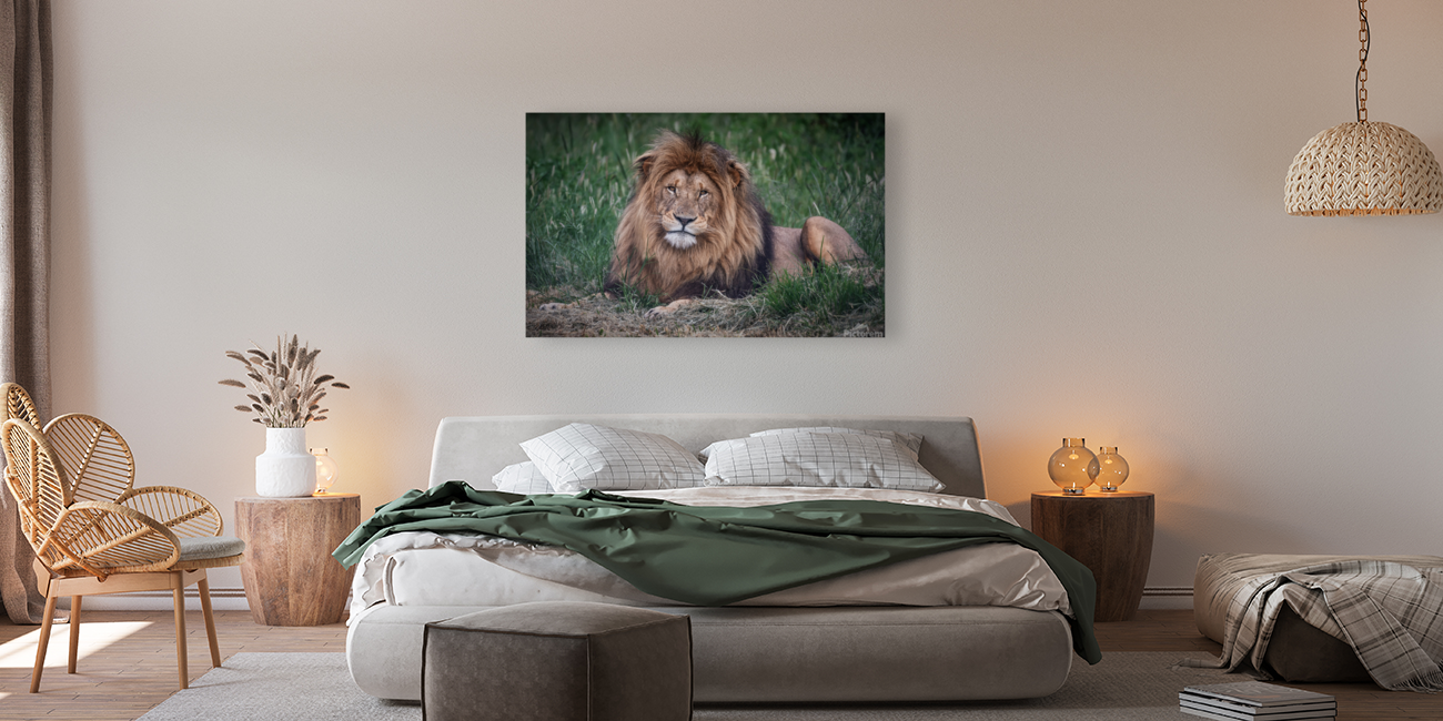 Lion Art