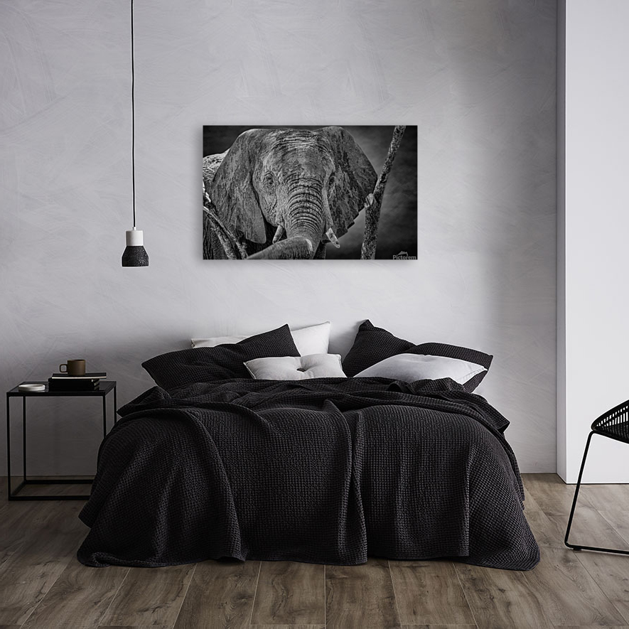 Elephant trunk  Art