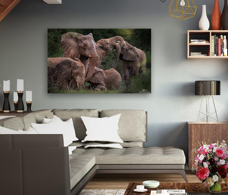Elephants affection Art