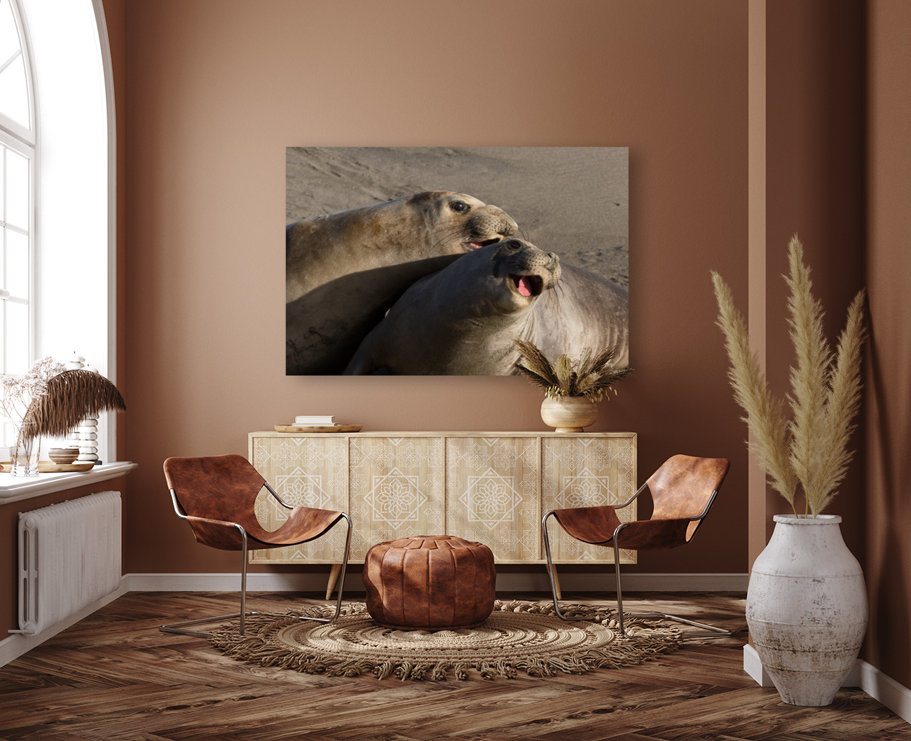 Smiling Elephant Seals Art