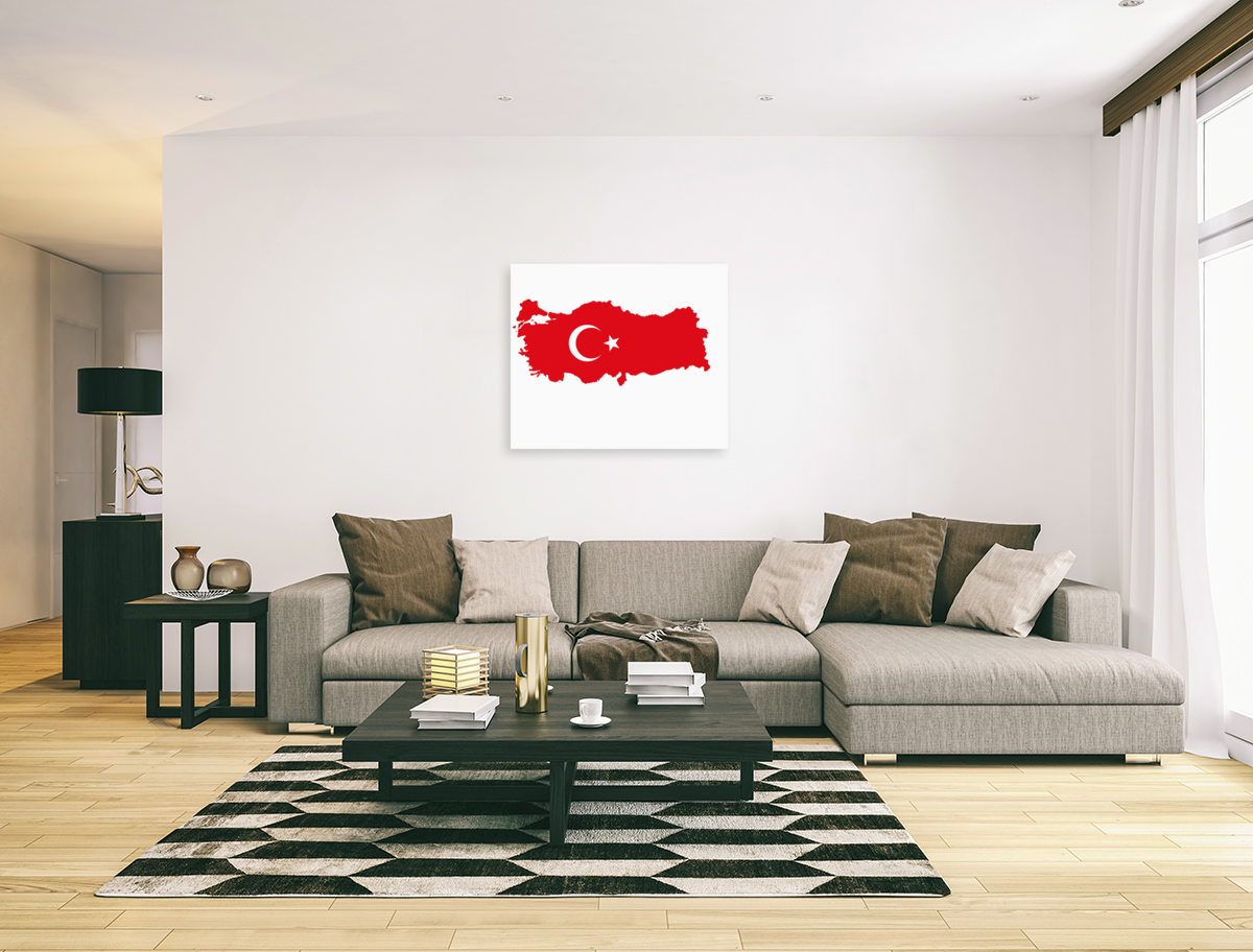 Turkey Art
