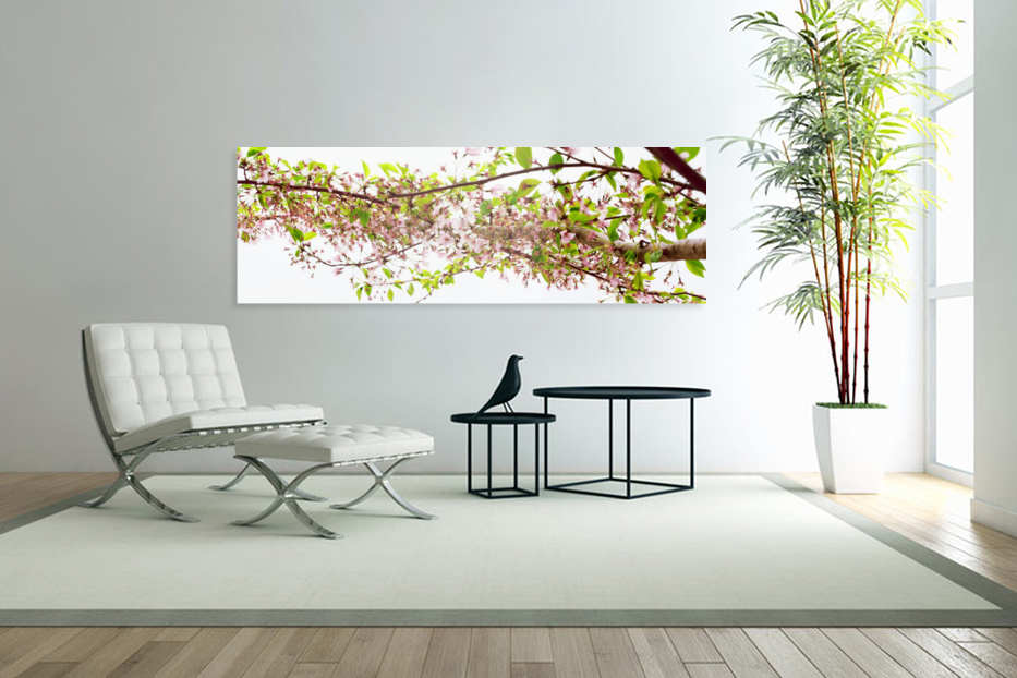 Cherry Blossom Triptych Full Art