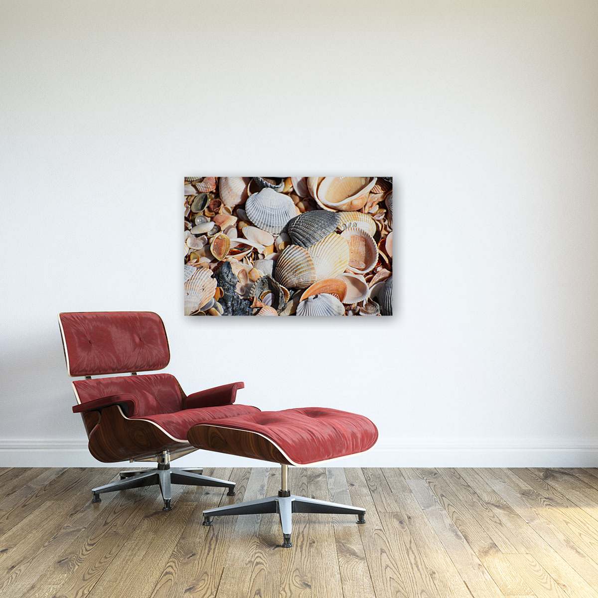 Sea Shells 2 Art