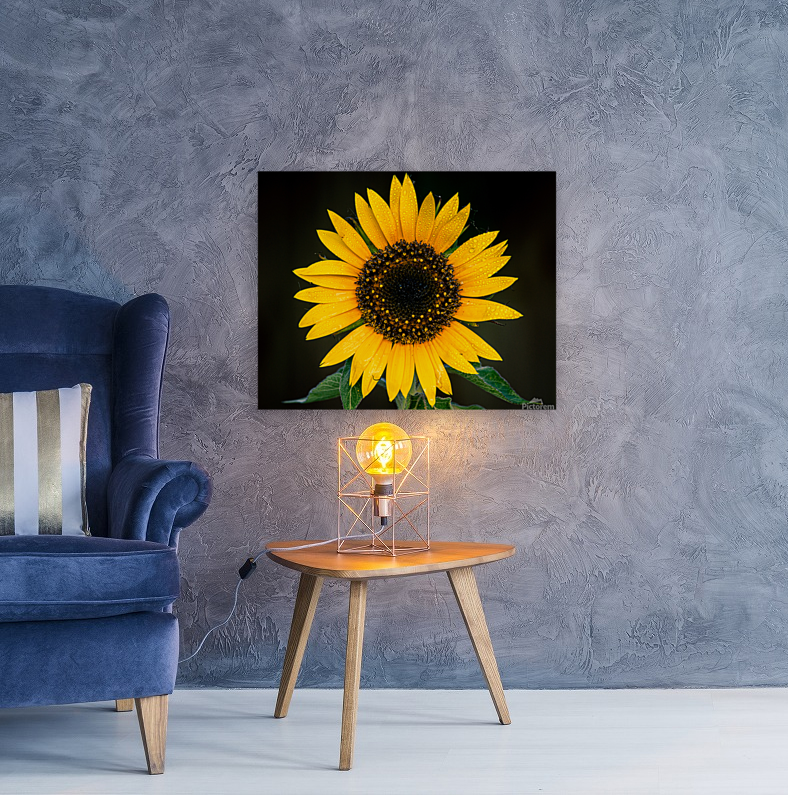 My First Sunflower Art
