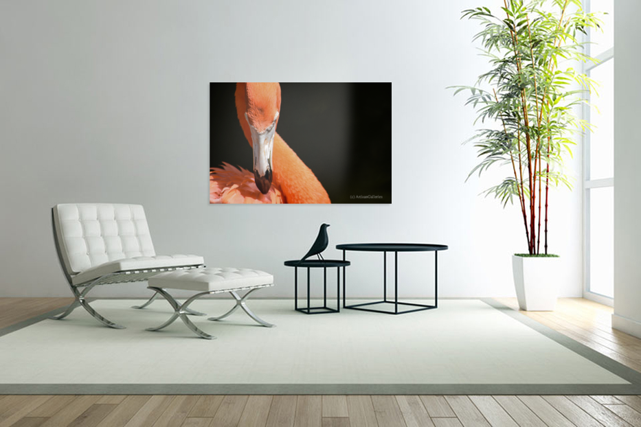 Flamingo 101 Art