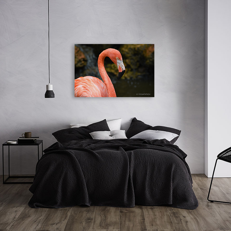 Flamingo 102 Art
