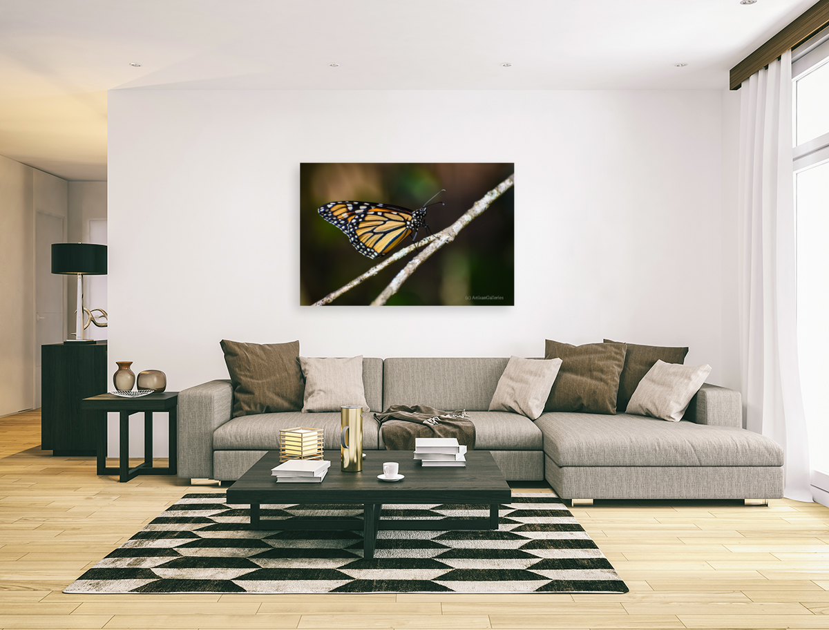 Butterfly 103 Art