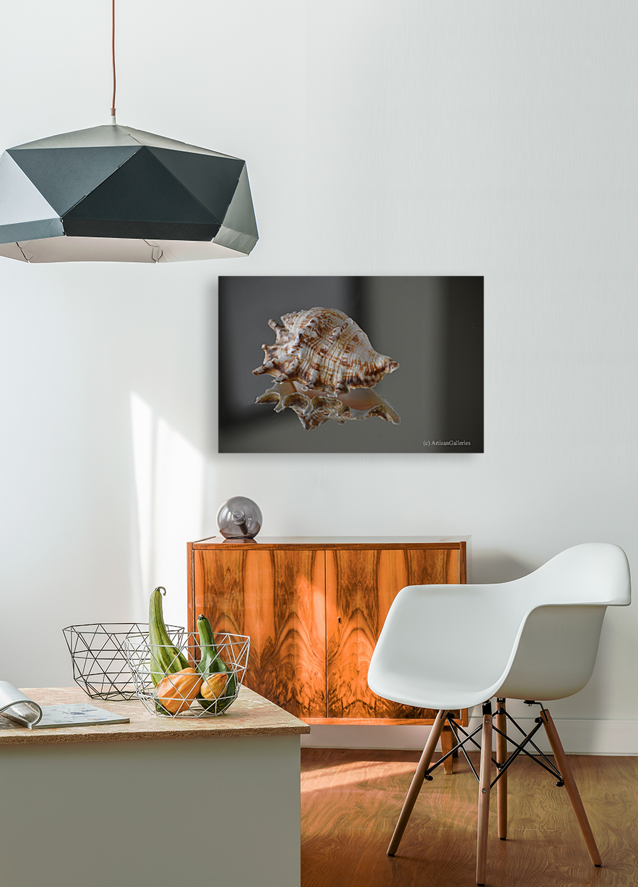 Shell 102 Art