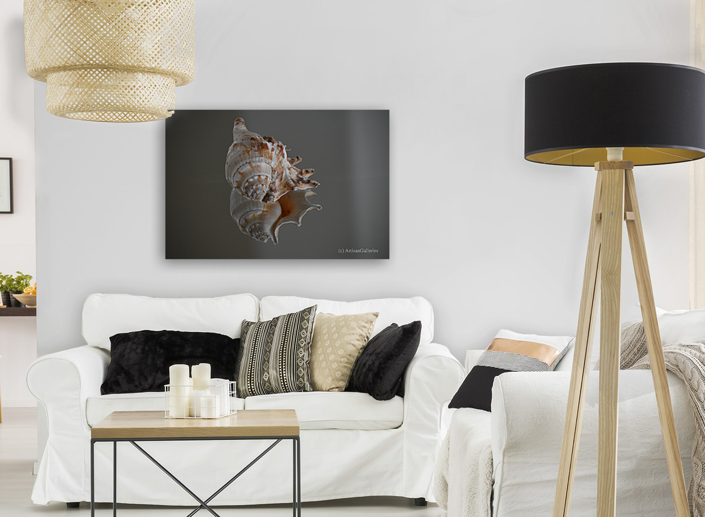 Shell 101 Art