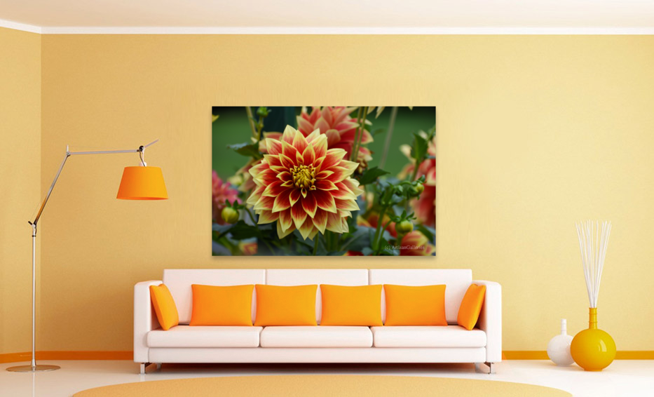Flower 102 Art