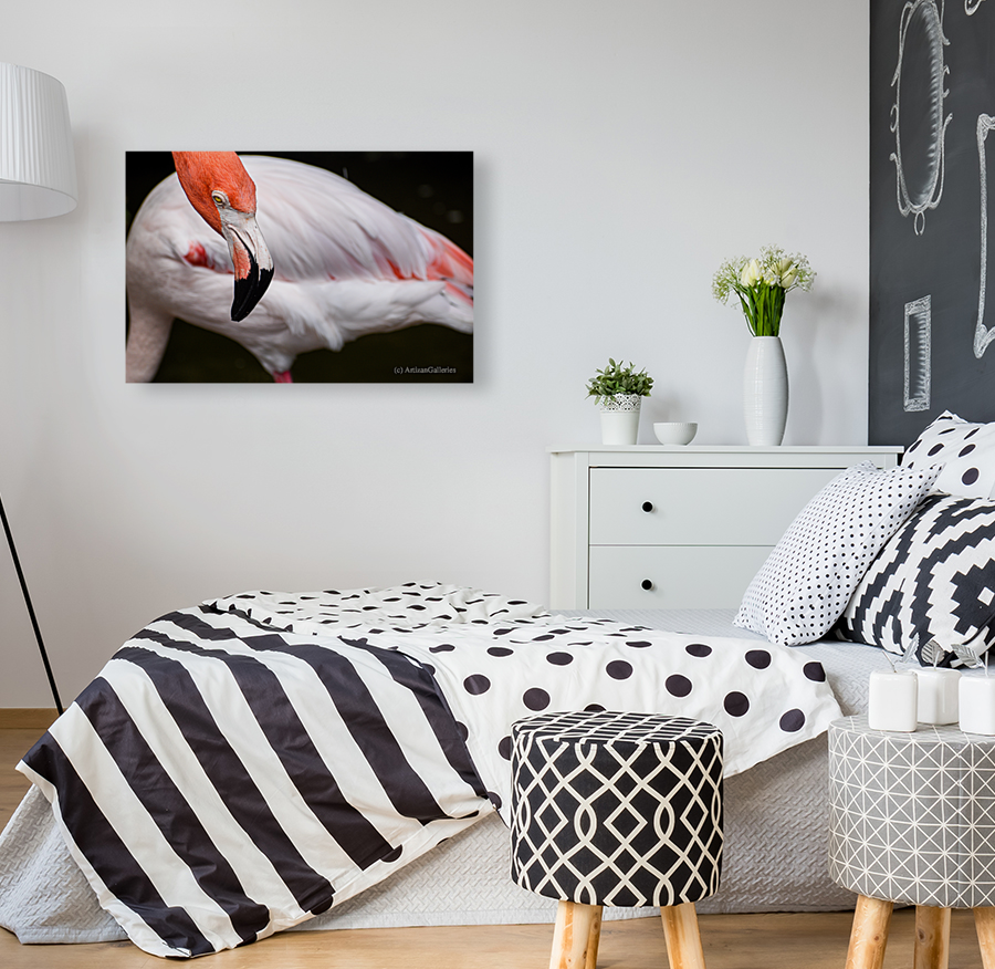 Flamingo 105 Art