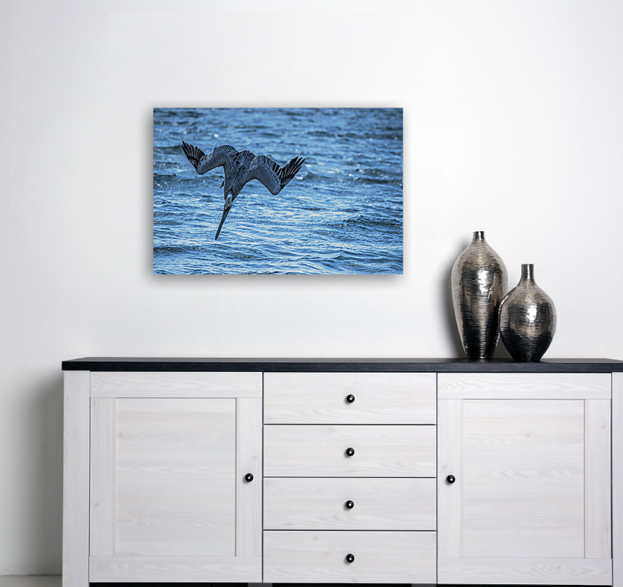 Pelican 101 Art