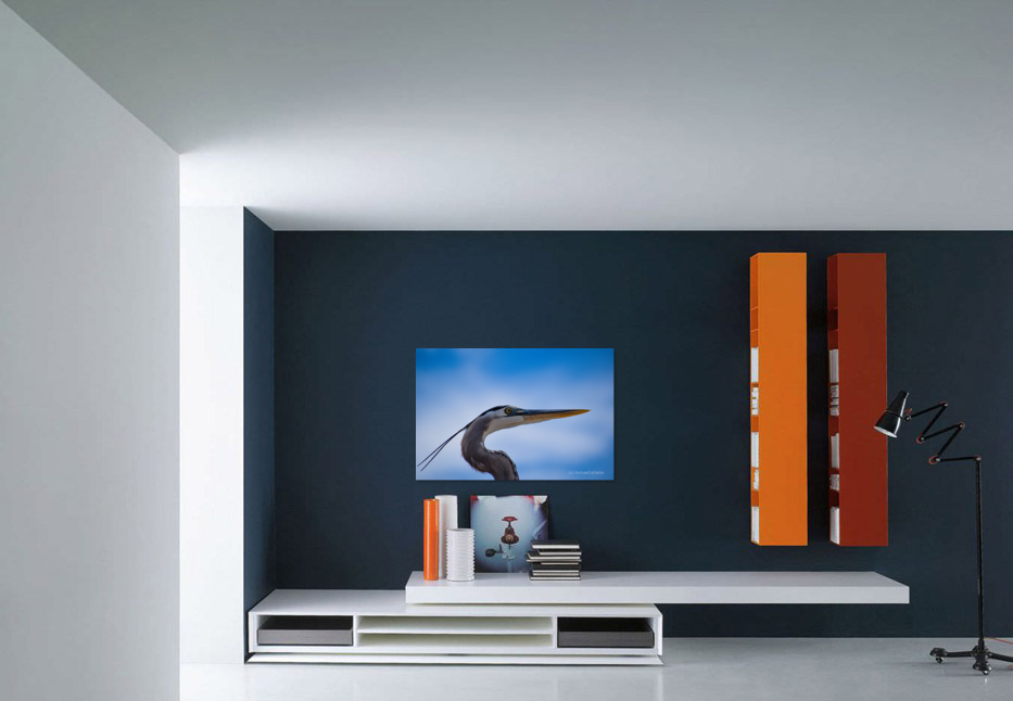 Grey Heron 101 Art