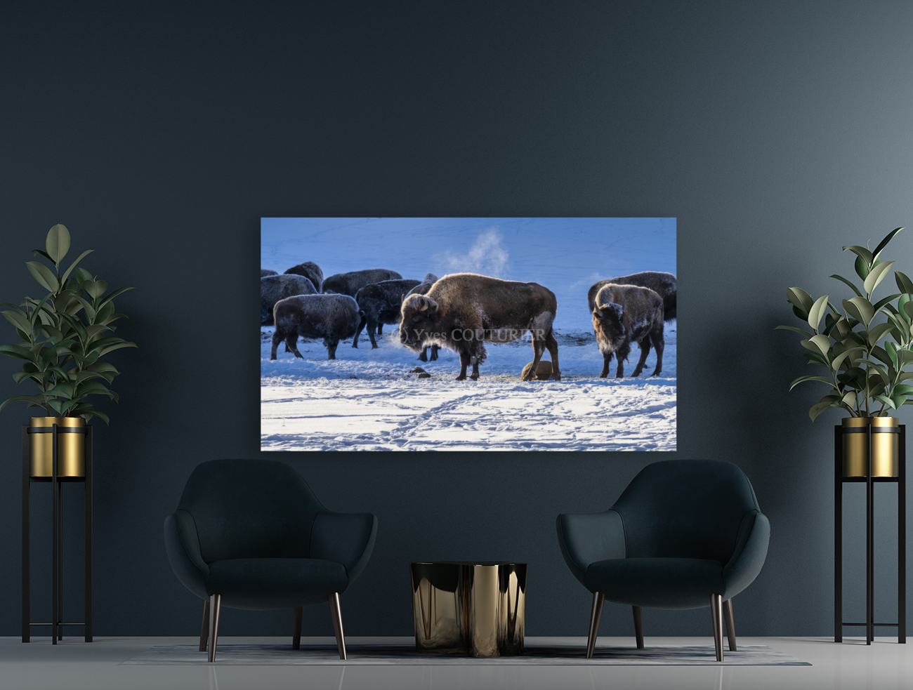 Zion bisons Art