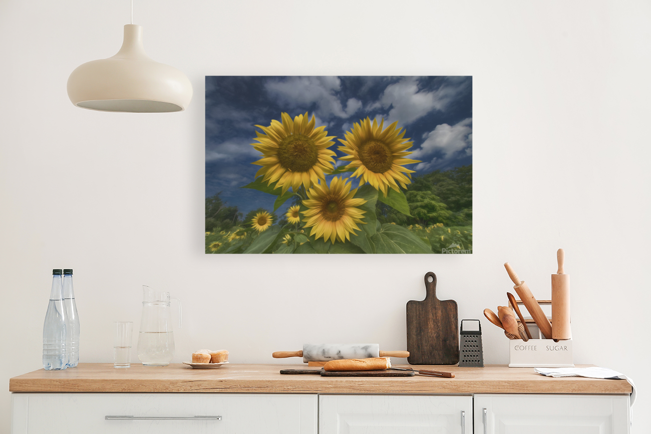 Triplets Art