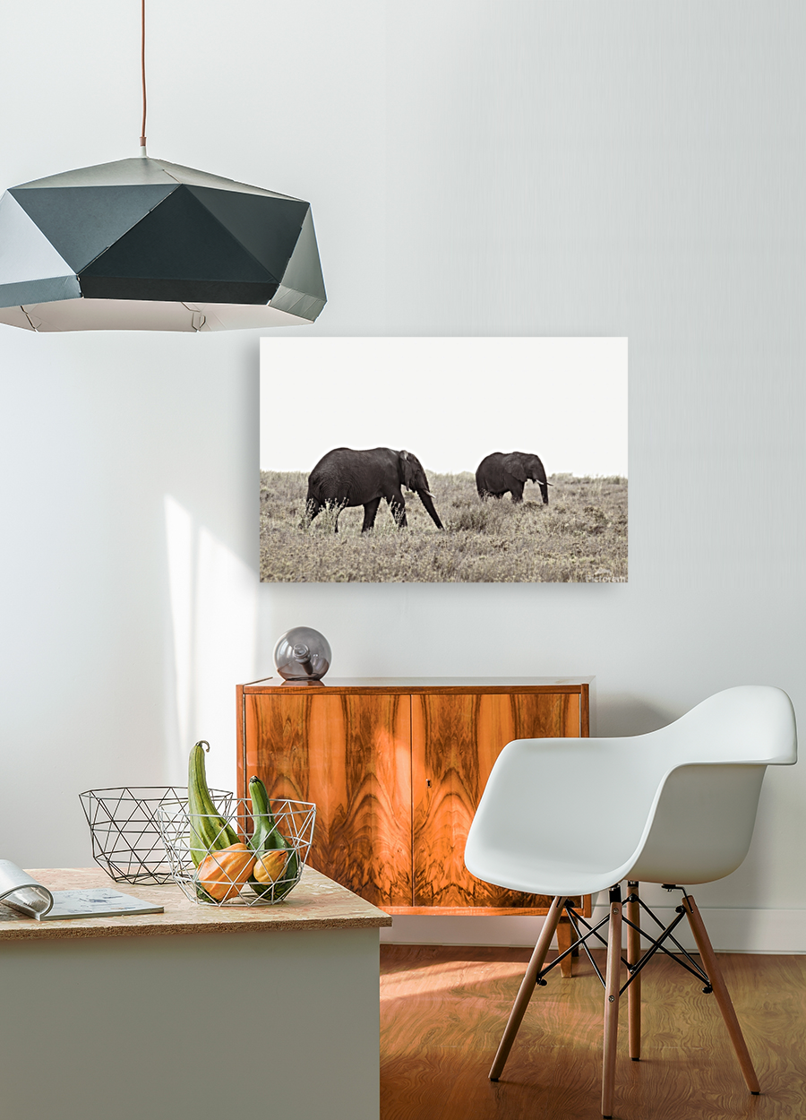 Dusk Grazing Art