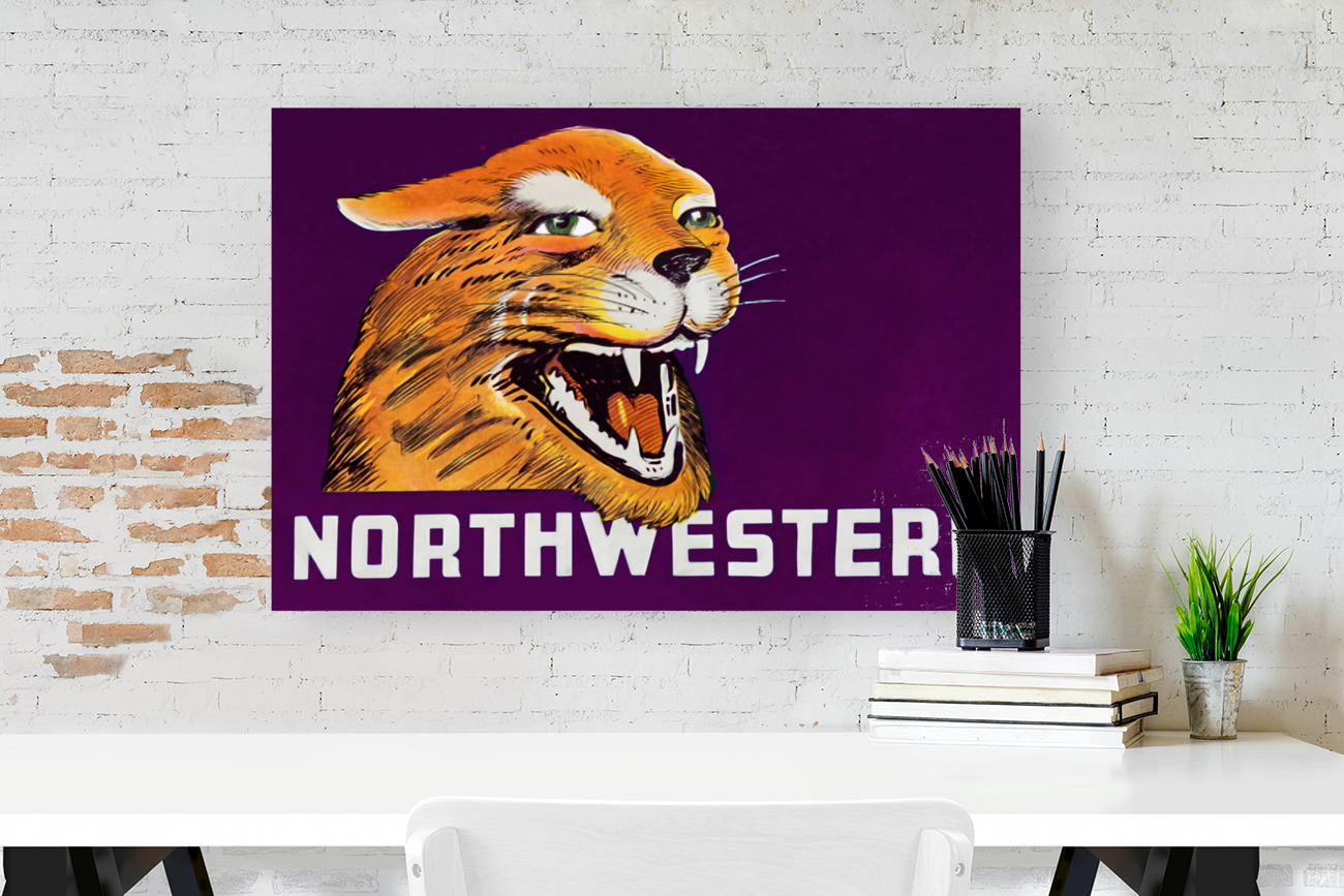 Vintage Northwestern Wildcat Art Art