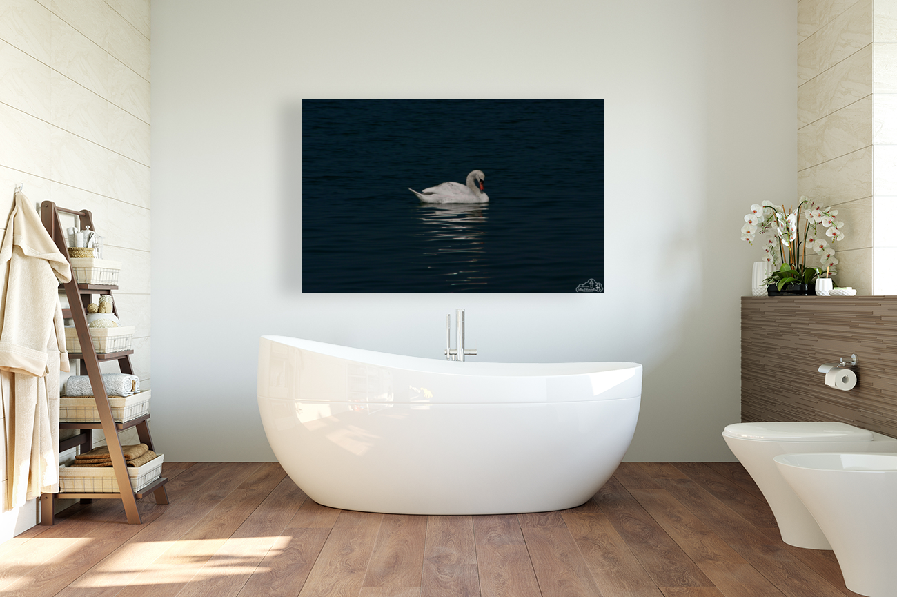 Serenity Art